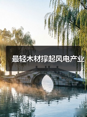 最轻木材撑起风电产业（图4）