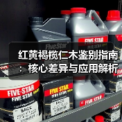 红黄褐榄仁木鉴别指南：核心差异与应用解析（图1）