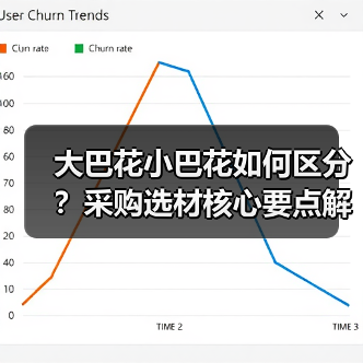 大巴花小巴花如何区分？采购选材核心要点解析（图4）