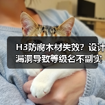 H3防腐木材失效？设计漏洞导致等级名不副实（图3）