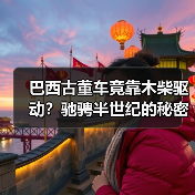 巴西古董车竟靠木柴驱动？驰骋半世纪的秘密曝光！（图4）