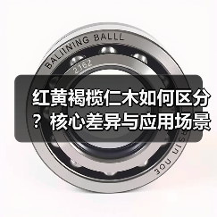 红黄褐榄仁木如何区分？核心差异与应用场景全解析（图1）