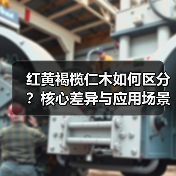 红黄褐榄仁木如何区分？核心差异与应用场景全解析（图4）