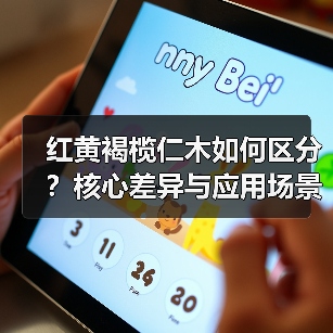 红黄褐榄仁木如何区分？核心差异与应用场景全解析（图2）