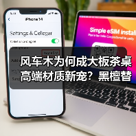 风车木为何成大板茶桌高端材质新宠？黑檀替代真相揭秘（图2）