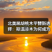 北美黑胡桃木平替新选择：斯温漆木为何成为市场新宠？（图2）