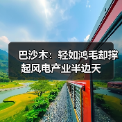 巴沙木:轻如鸿毛却撑起风电产业半边天(图2) 巴沙木:轻如鸿毛却撑起风电产业半边天(图2)