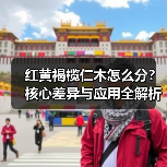 红黄褐榄仁木怎么分?核心差异与应用全解析(图3) 红黄褐榄仁木怎么分?核心差异与应用全解析(图3)