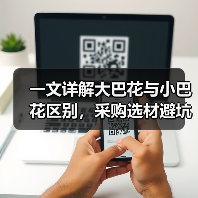 一文详解大巴花与小巴花区别，采购选材避坑指南（图1）