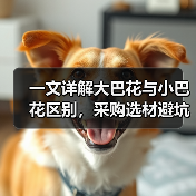 一文详解大巴花与小巴花区别，采购选材避坑指南（图3）