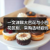 一文详解大巴花与小巴花区别，采购选材避坑指南（图2）