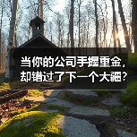 当你的公司手握重金，却错过了下一个大疆？——大华股份风险投资的隐秘角落（图3）